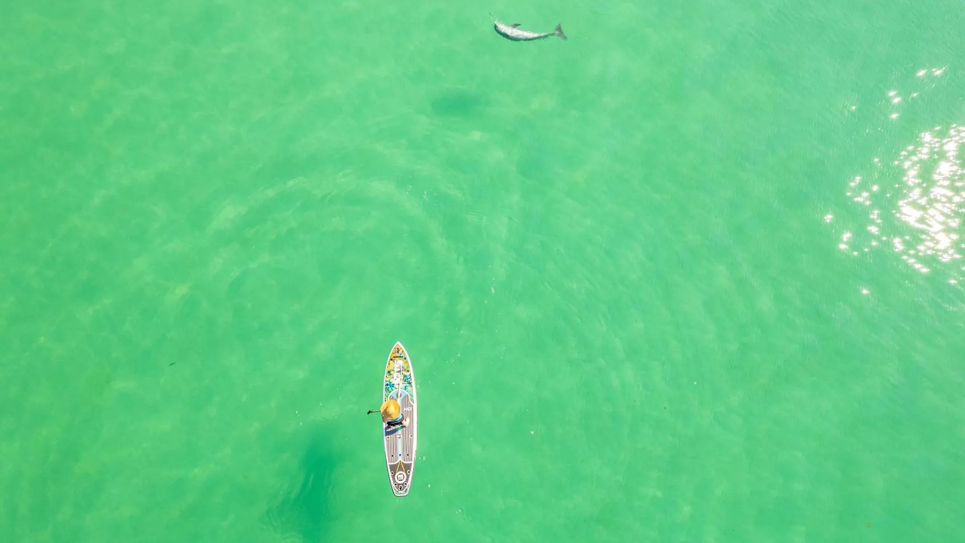 Apartment Sandpiper Cove 9136- By Holiday Isle Properties Destin