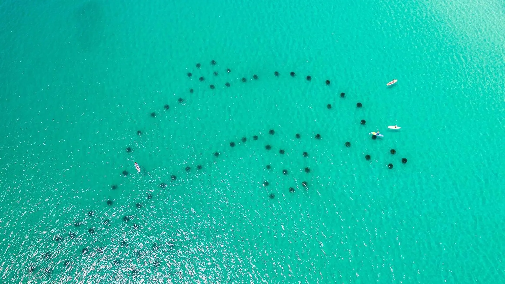 Sandpiper Cove 9136- By Holiday Isle Properties Destin United States